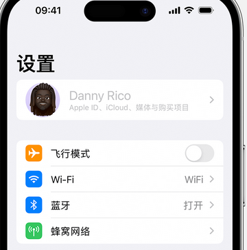 涪陵appleID维修服务iPhone设置中Apple ID显示为灰色无法使用 