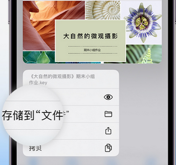 涪陵apple维修中心分享iPhone文件应用中存储和找到下载文件