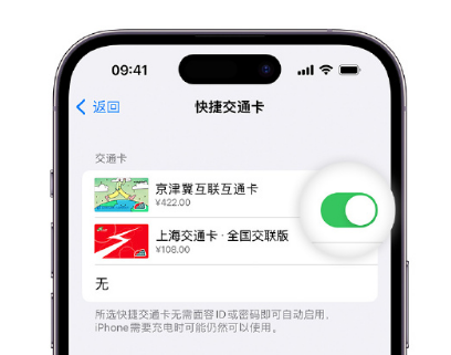 涪陵apple维修点分享iPhone上更换Apple Pay快捷交通卡手绘卡面 