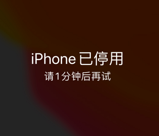 涪陵苹果手机维修分享:iPhone 显示“不可用”或“已停用”怎么办？还能保留数据吗？ 