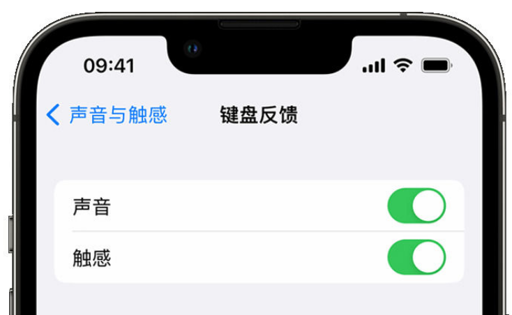 涪陵苹果手机维修分享iPhone 14触感键盘使用方法 