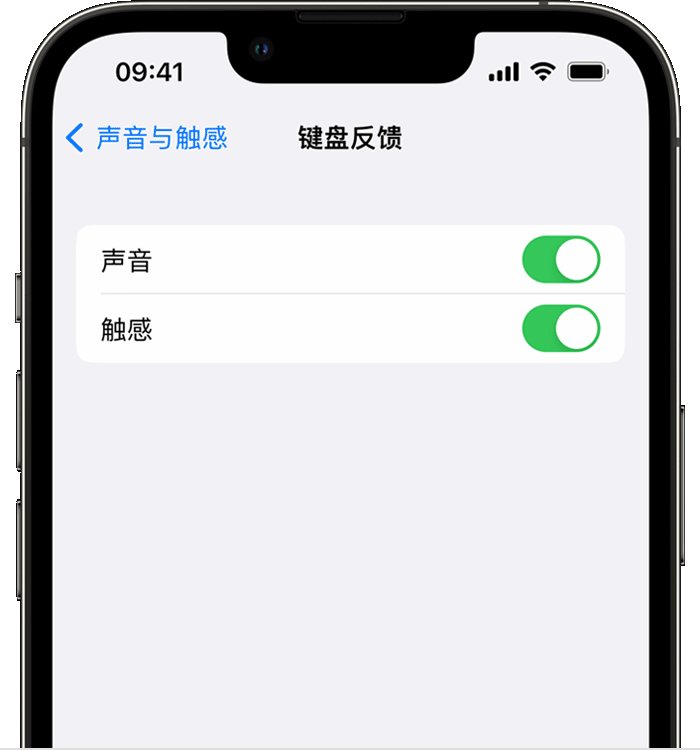 涪陵苹果14维修店分享如何在 iPhone 14 机型中使用触感键盘 