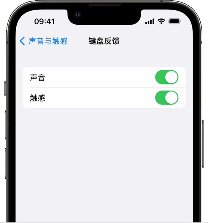 涪陵苹果14维修分享iPhone 14 系列机型如何开启键盘声音或触感反馈 