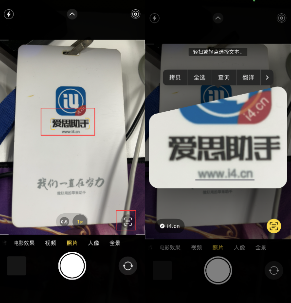 涪陵苹果手机维修分享升级iOS 16后如何通过相机翻译文本 