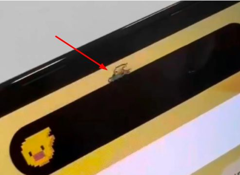 涪陵苹果14维修分享iPhone 14 Pro Max灵动岛怎么养宠物 
