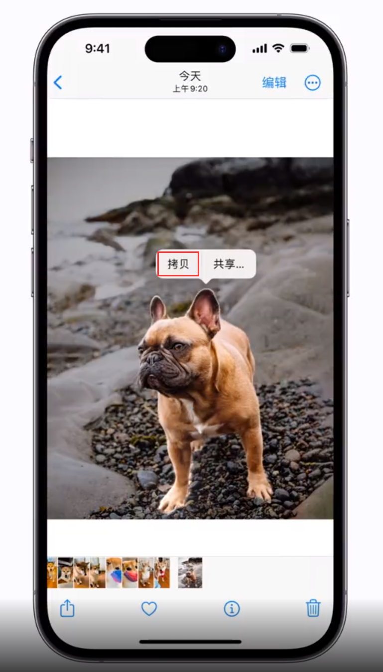 涪陵苹果手机维修分享 iOS 16 自带一键抠图功能 