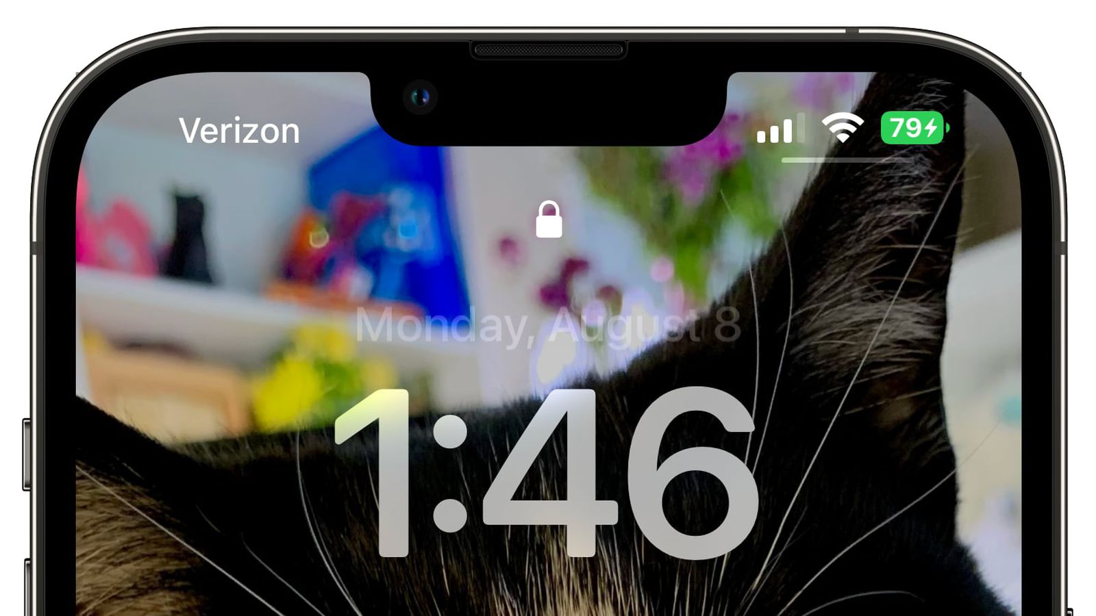 涪陵苹果手机维修分享iOS 16 beta 5 支持状态栏显示电池百分比，如何开启？支持哪些机型 
