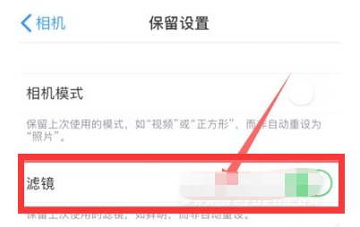 涪陵苹果13维修分享iPhone13拍照有绿点是怎么回事 