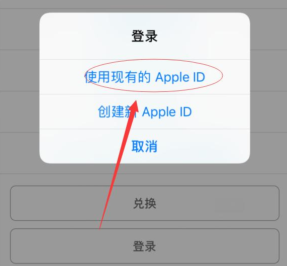 涪陵苹果手机维修分享两台iPhone设备可以同时登录一个Apple ID吗 