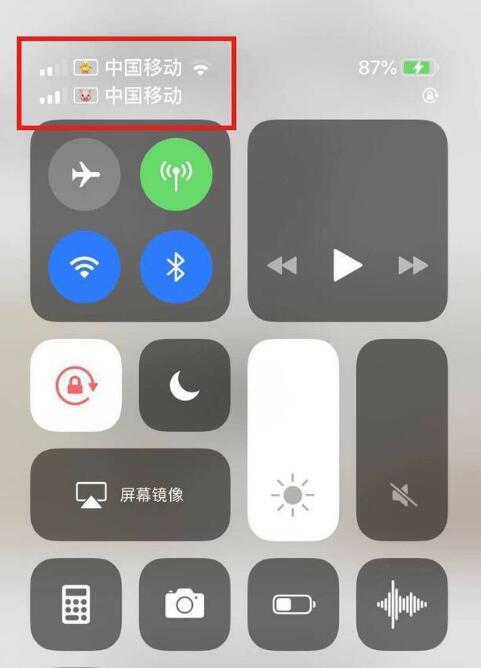 涪陵苹果手机维修分享为 iPhone 12 双卡设置标签 