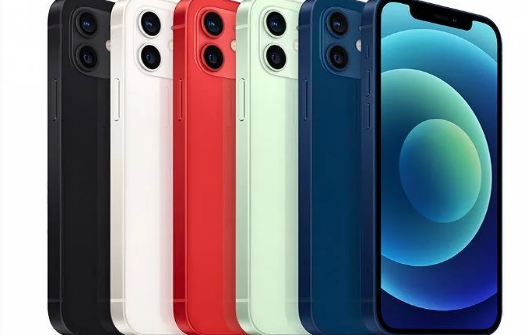 涪陵苹果维修点分享iPhone12 Pro Max进水维修 
